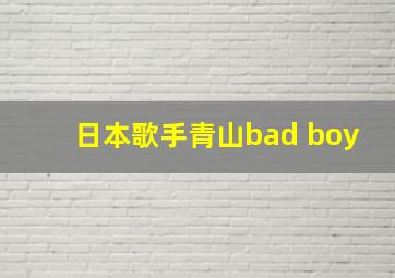 日本歌手青山bad boy